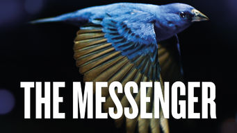 The Messenger