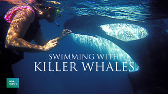 Swimming with Killer Whales