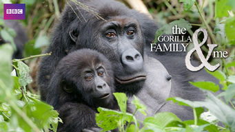 The Gorilla Family and Me