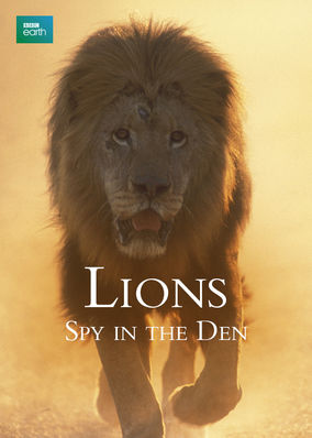Lions: Spy in the Den