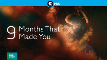 9 Months That Made You