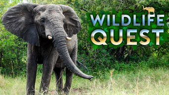Wildlife Quest