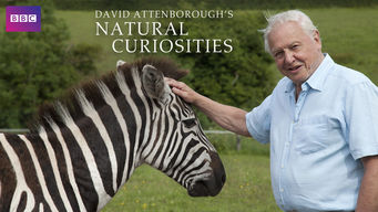 David Attenborough's Natural Curiosities