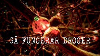 Så fungerar droger