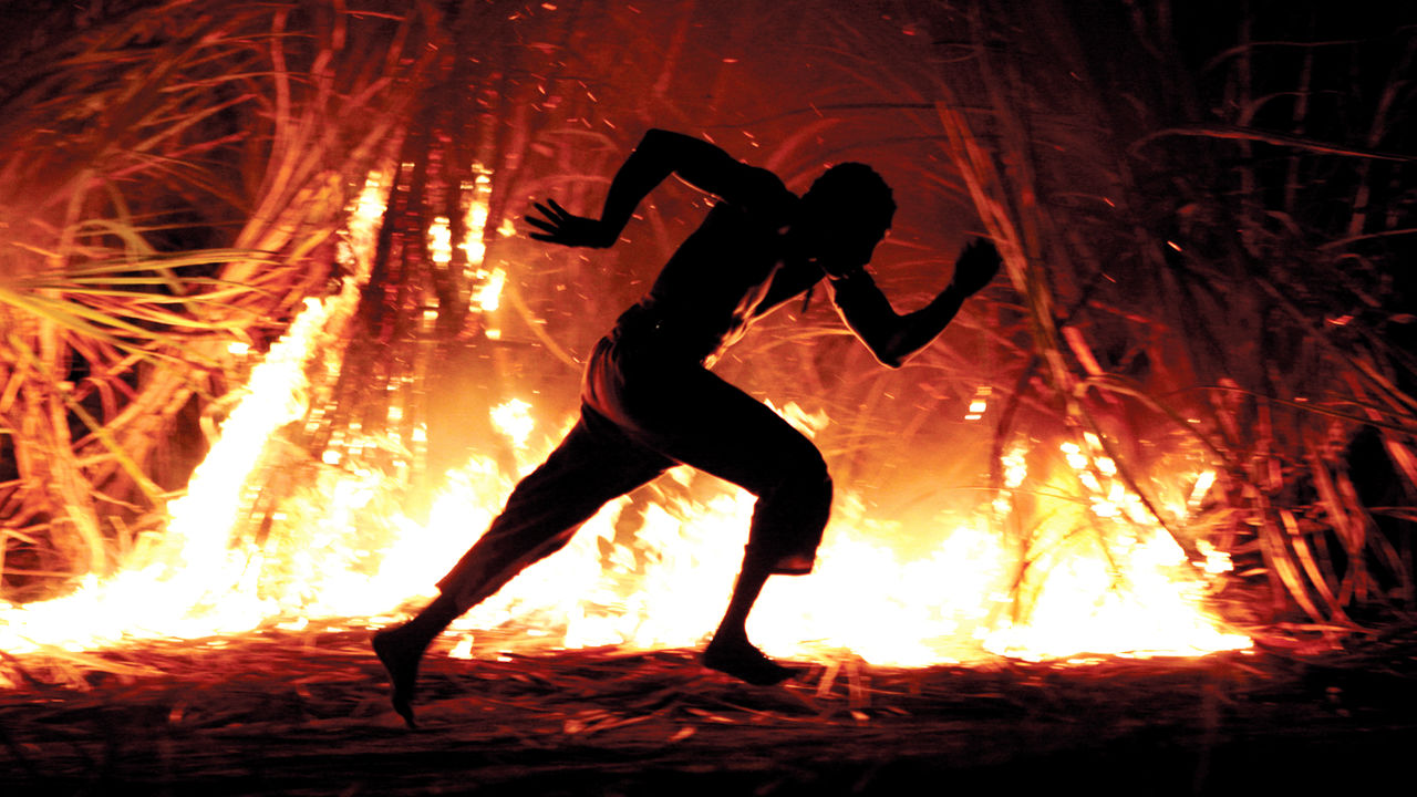 Resultado de imagem para Besouro Netflix