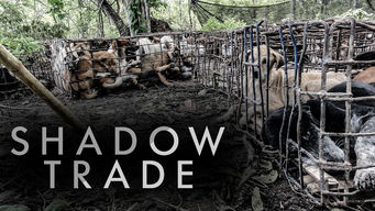 Shadow Trade