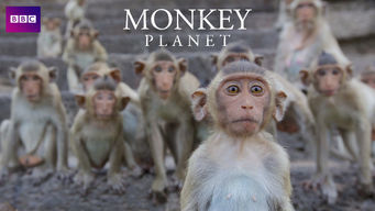 Monkey Planet