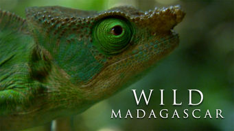 Wild Madagascar