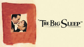 The Big Sleep