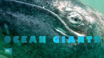Ocean Giants