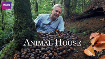 Animal House