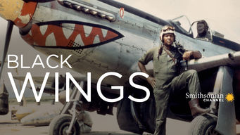Black Wings