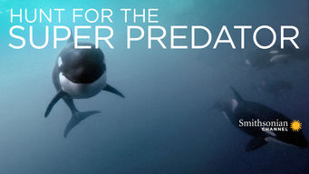 Hunt for the Super Predator
