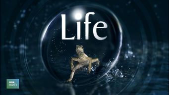 Life