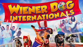 Wiener Dog Internationals