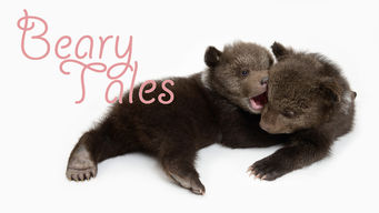 Beary Tales