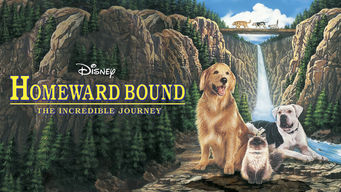 Homeward Bound