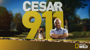 Cesar 911