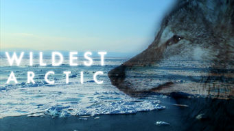 Wildest Arctic