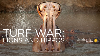 Turf War: Lions and Hippos