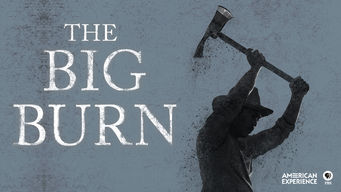 American Experience: The Big Burn