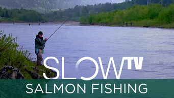 Slow TV: Salmon Fishing