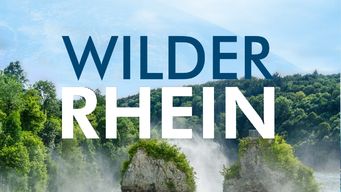 Wilder Rhein
