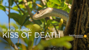 Black Mamba: Kiss of Death