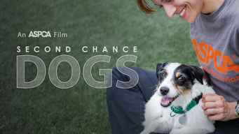 Second Chance Dogs