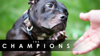The Champions