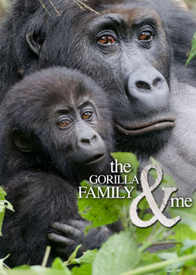 The Gorilla Family and Me
