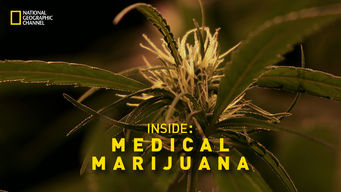 Inside Medical Marijuana
