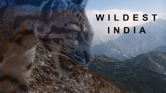 Wildest India
