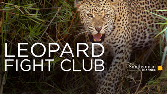 Leopard Fight Club