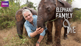 The Elephant Family and Me