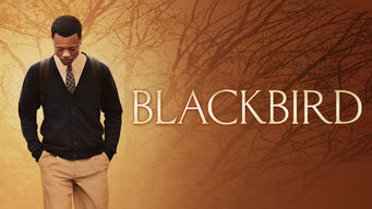 Blackbird