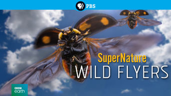 SuperNature: Wild Flyers
