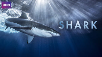 Shark