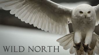 Wild North