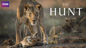 The Hunt