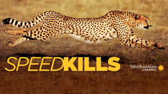 Speed Kills
