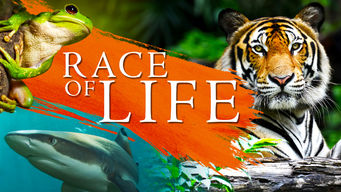 Race of Life