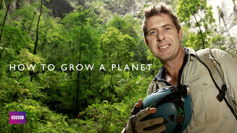 How to Grow a Planet