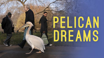 Pelican Dreams