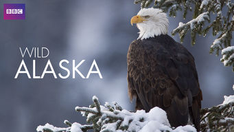 Wild Alaska