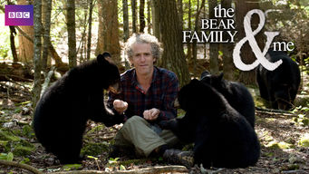 The Bear Family and Me