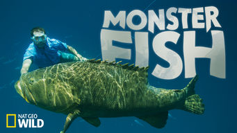 Monster Fish