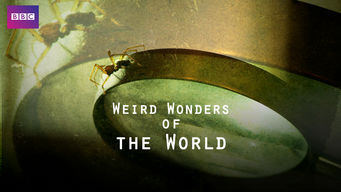 Weird Wonders of the World